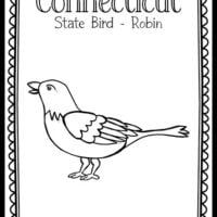 Connecticut â the art kit