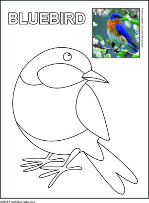 Printable bird coloring pages