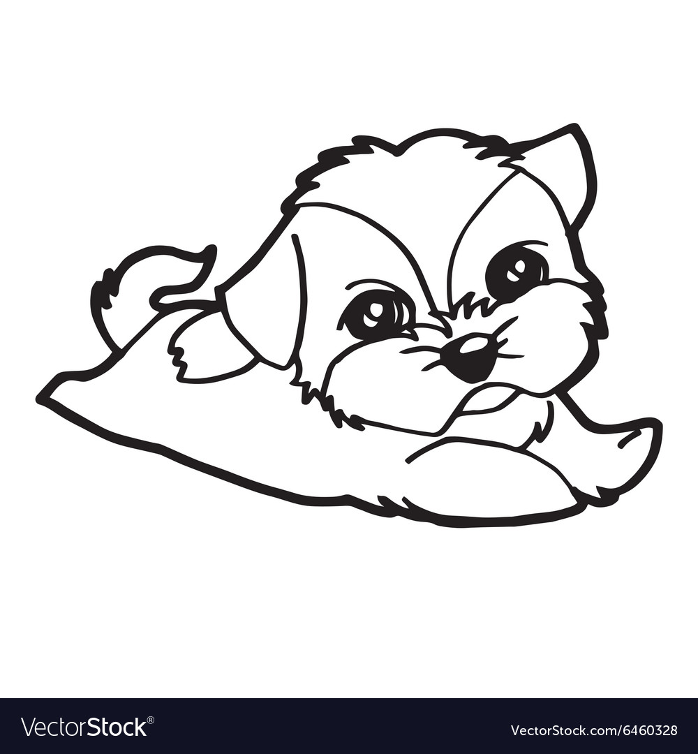 Cute dogs coloring page royalty free vector image