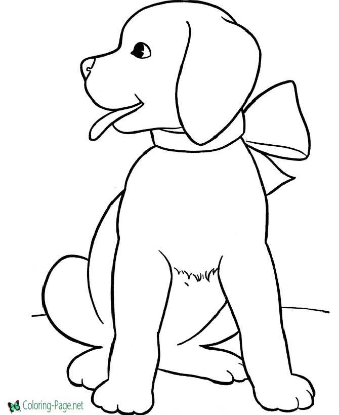 Dog coloring pages