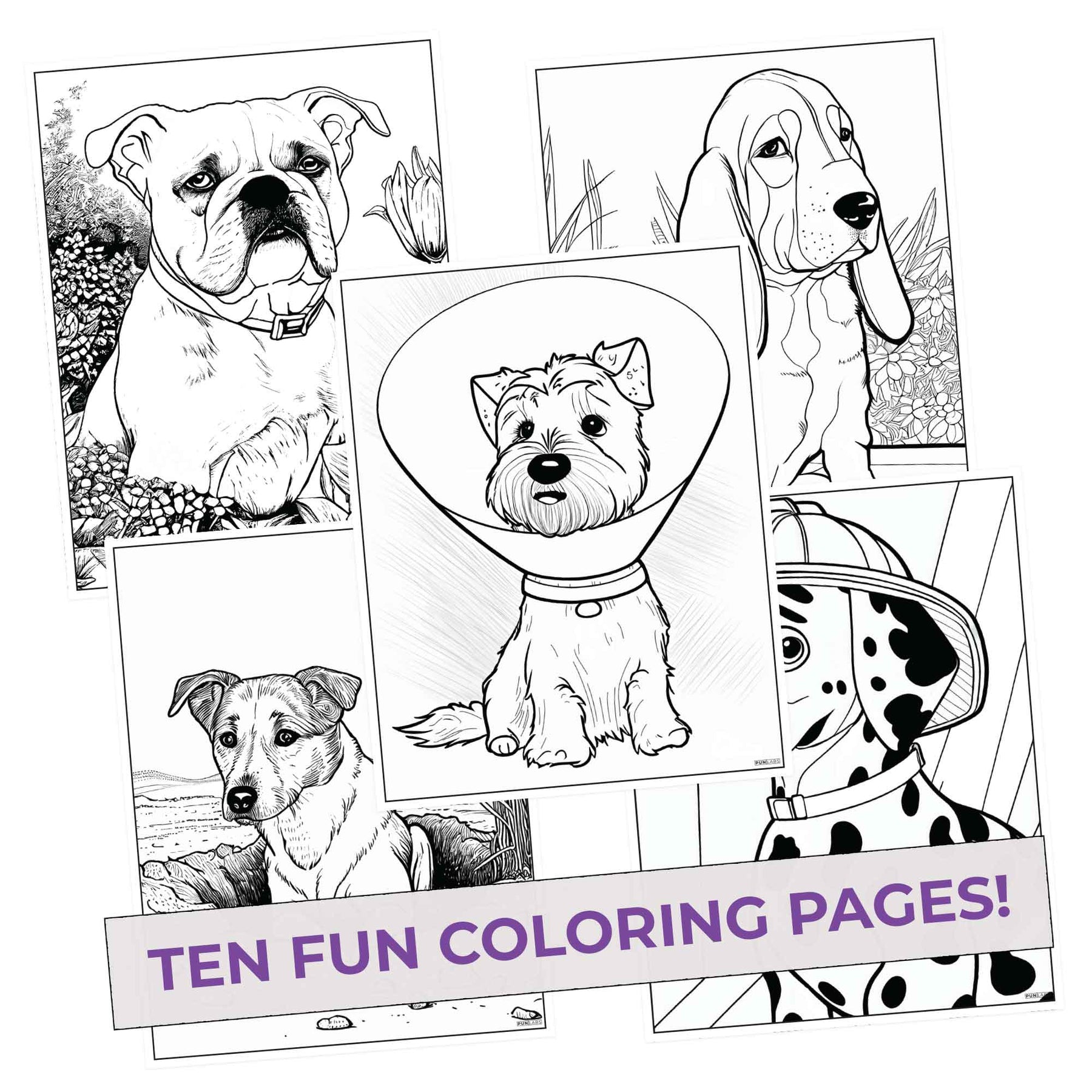 Dog coloring pages pack