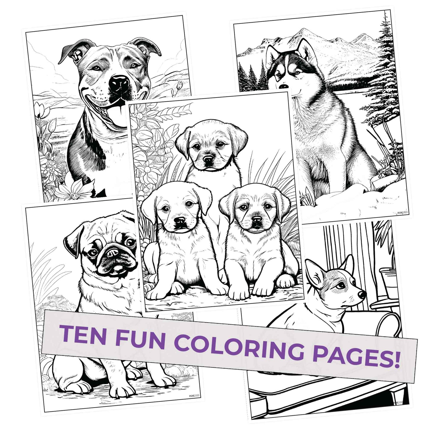 Dog coloring pages pack