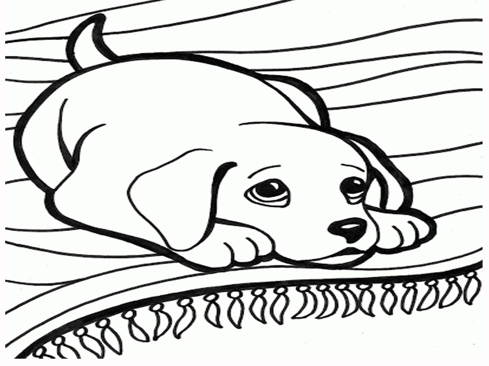 Christmas dogs coloring pages printable for free download