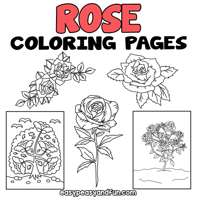 Flower coloring pages