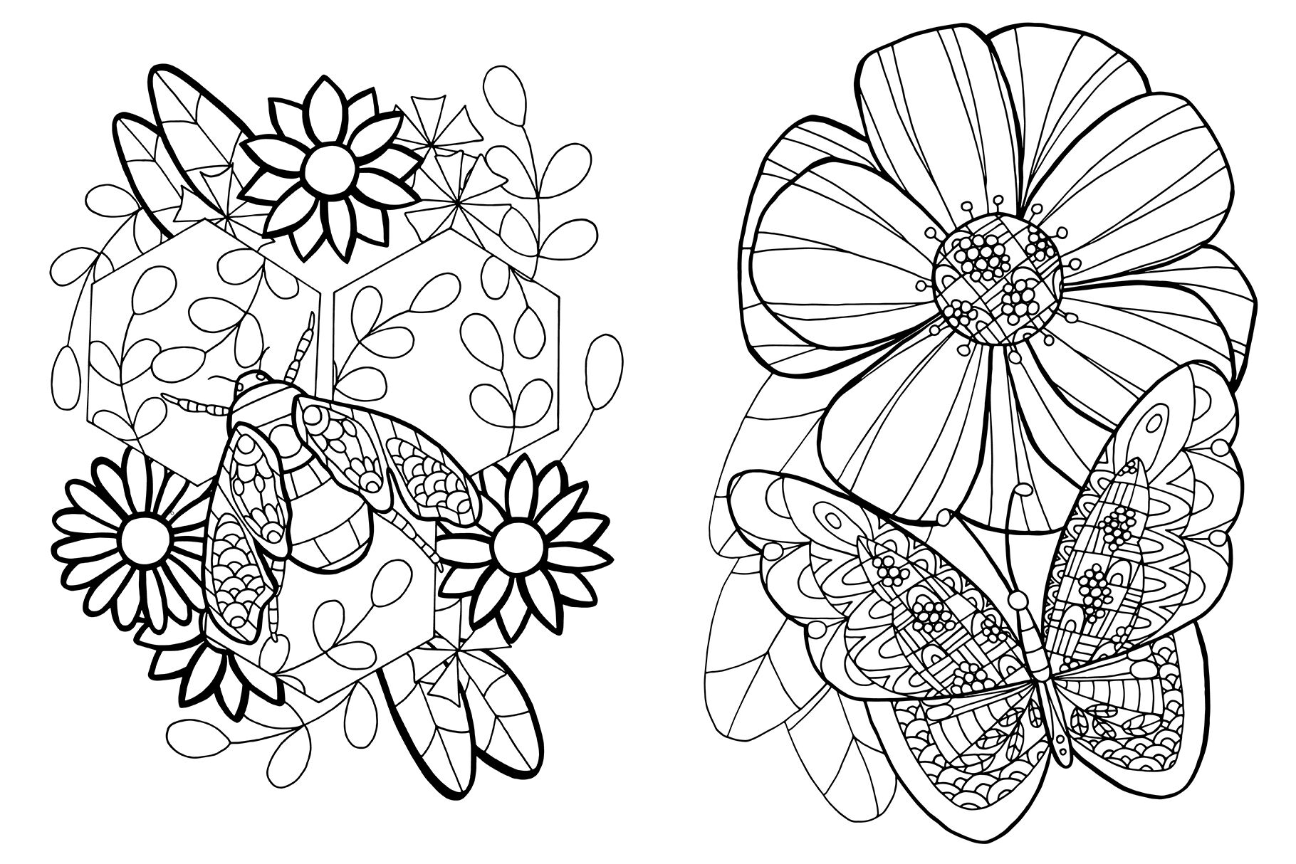 Coloring pages flowers and insects by olgas watercolor