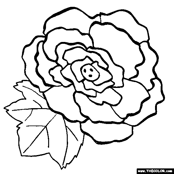 Flower coloring pages color flowers online