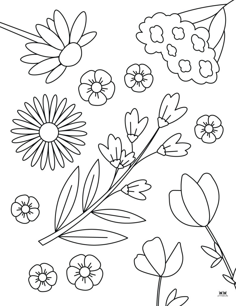 Flower coloring pages