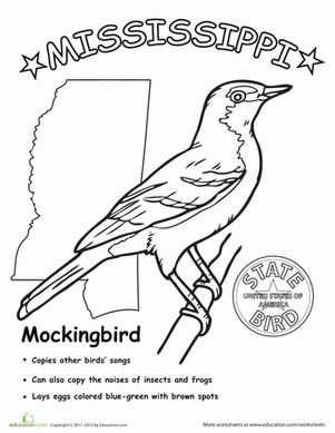 Mississippi state bird worksheet education state birds mississippi state mississippi