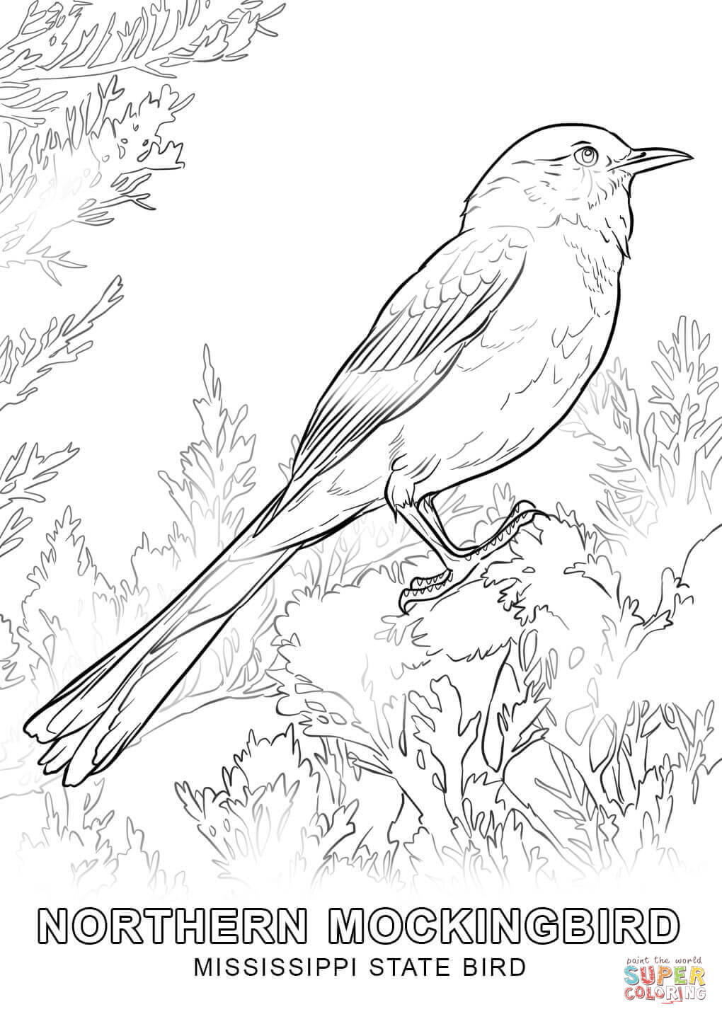 Mississippi state bird coloring page free printable coloring pages