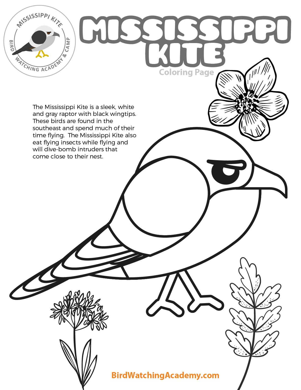 Mississippi kite coloring page