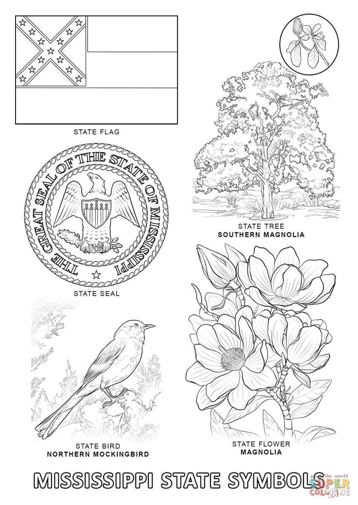 Explore mississippis rich history with coloring pages