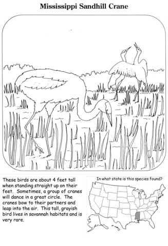 Mississippi sandhill crane coloring page free printable coloring pages