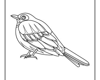 Bird coloring pages