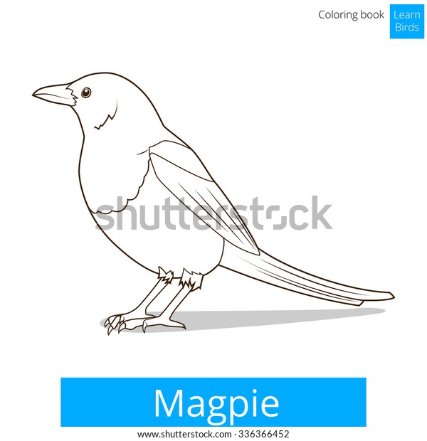 Magpie learn birds educational game coloring stock illustration