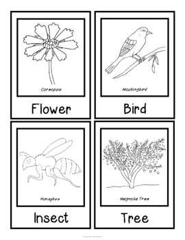 Mississippi state symbol cards by kelly whittier tpt