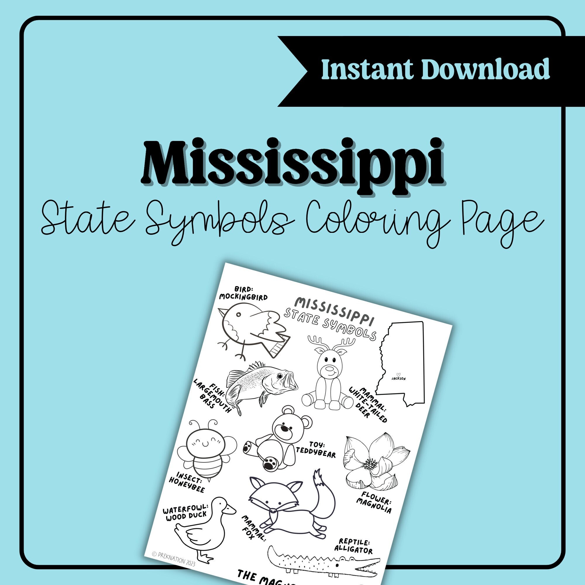 Instant download mississippi state symbols coloring page