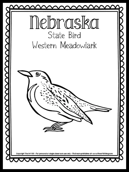 Nebraska state bird western meadowlark coloring page free printable â the art kit