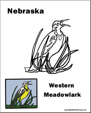 Nebraska state bird