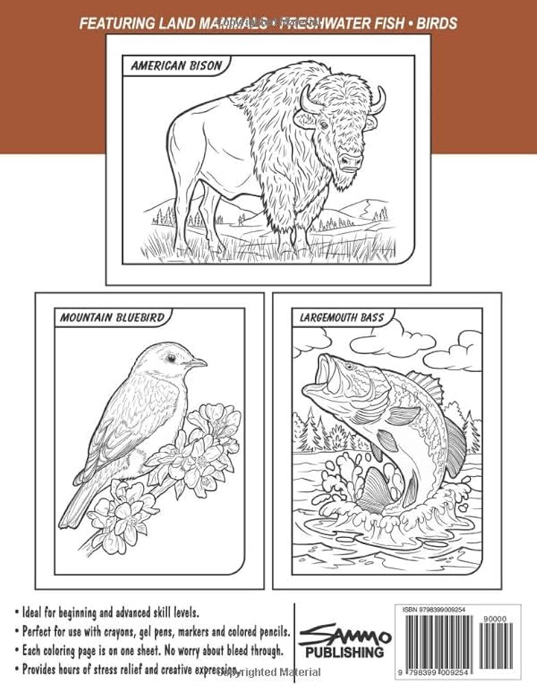 Wild animals of nebraska coloring book for kids teens adults featuring land mammals freshwater fish and birds to color morrison sam books