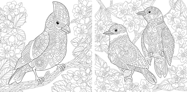 Hundred cardinal coloring adults royalty