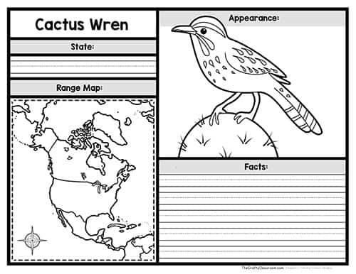 State birds activity pack