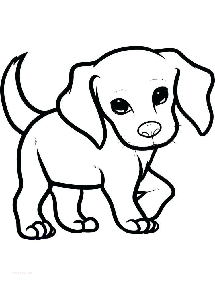 Coloring pages puppy pictures to color art puppy coloring pages