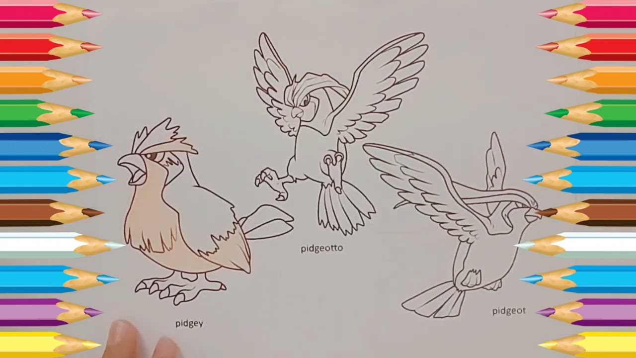 Coloring pokemon pidgey pidgeotto pidgeot pokemon coloring videos coloring pages for kids