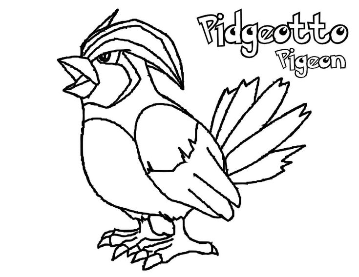 Pokemon pidgeotto coloring sheets pokemon coloring pages pokemon coloring horse coloring pages