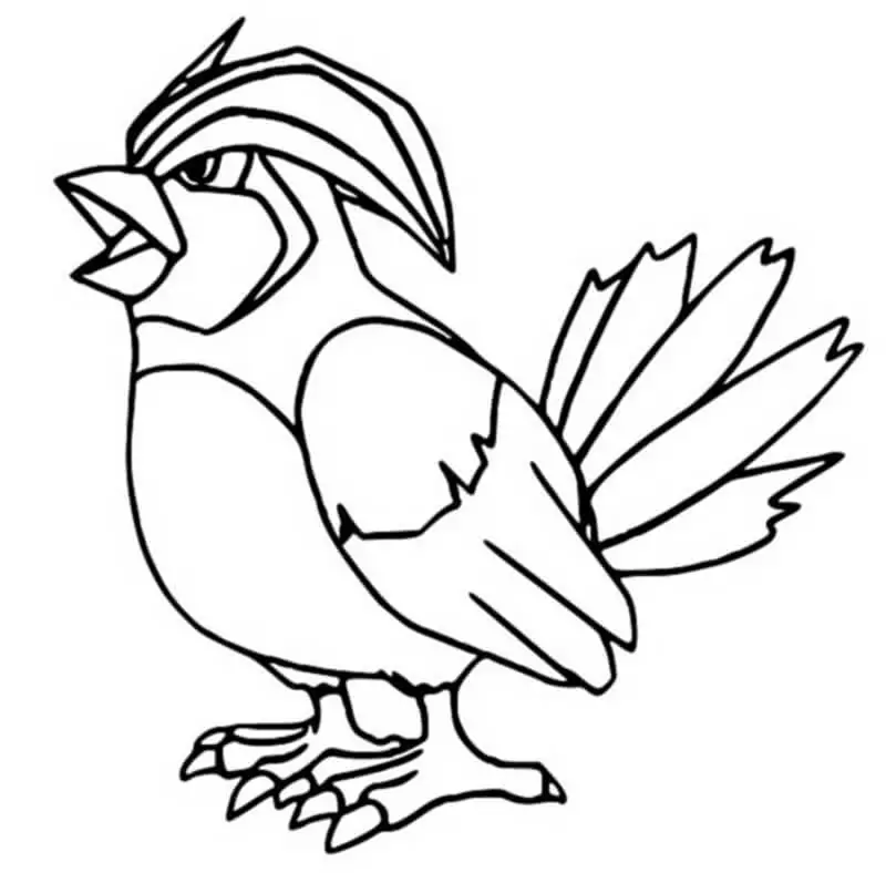 Pidgeotto malvorlagen