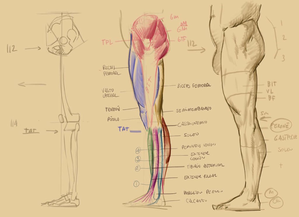 Tips para aprender a dibujar las piernas y los pies