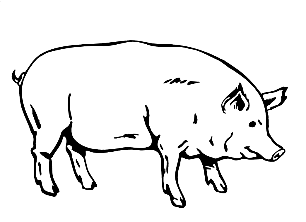 Free printable pig coloring pages for kids