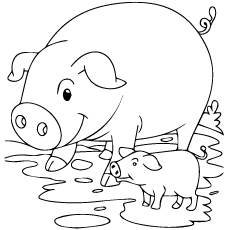 Top free printable pig coloring pages online