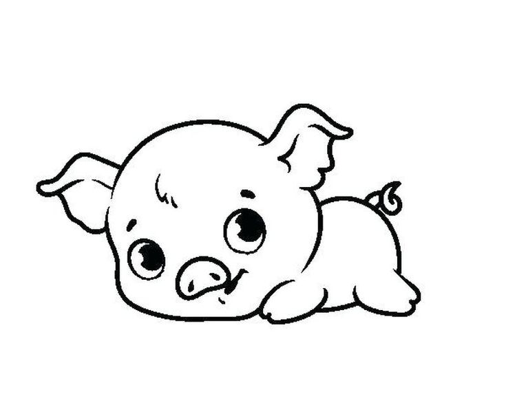 Cute pig coloring pages pdf