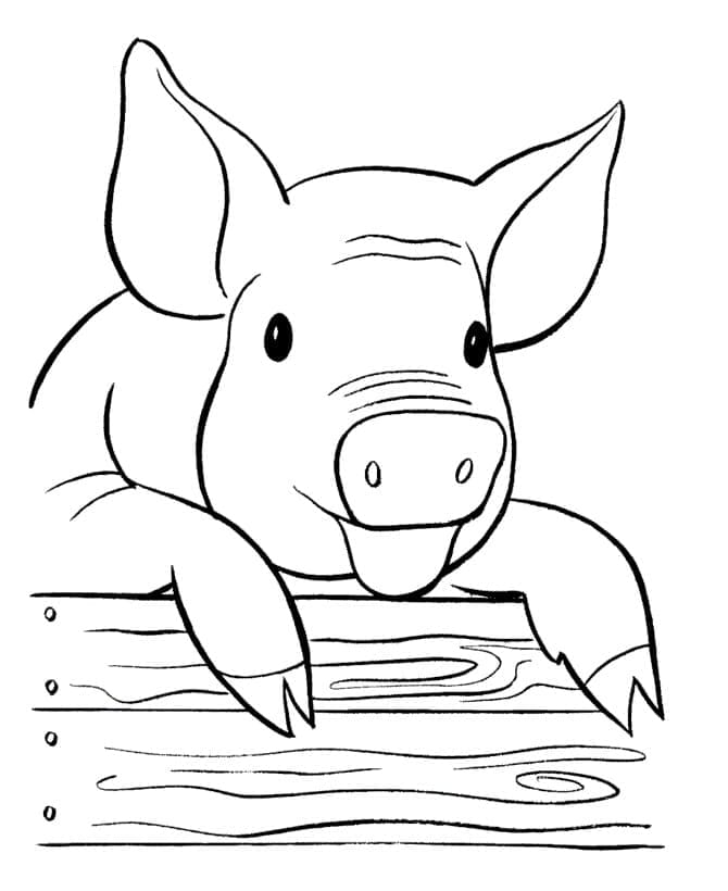 Little pig coloring page