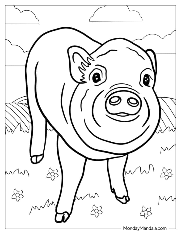 Pig coloring pages free pdf printables