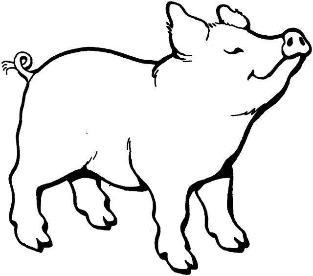 Brilliant picture of pig coloring pages