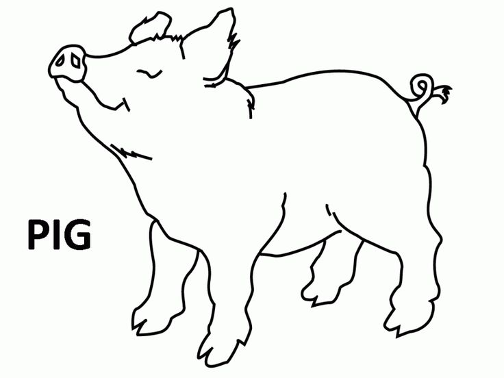 Pig coloring pages â coloringrocks pencil drawings of animals animal coloring pages animal drawings