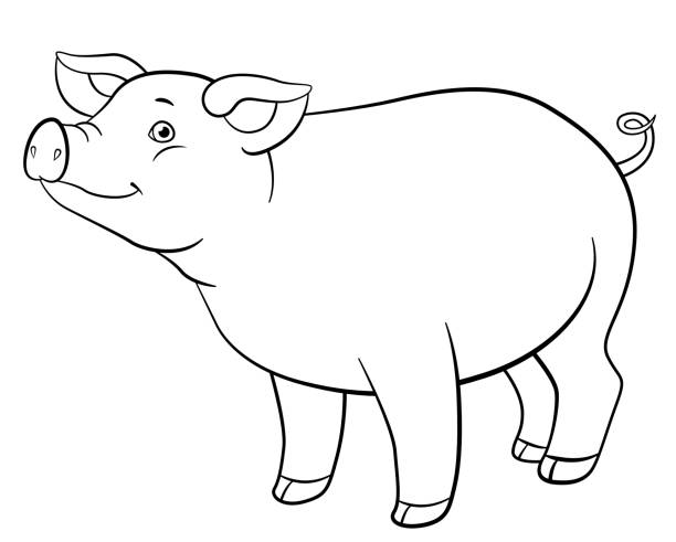 Coloring pages cute pig stands and smiles stock illustration