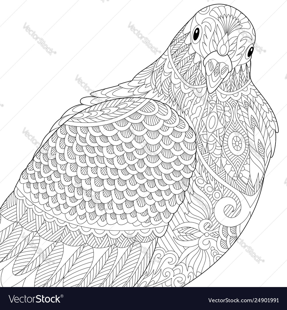 Dove pigeon adult coloring page royalty free vector image