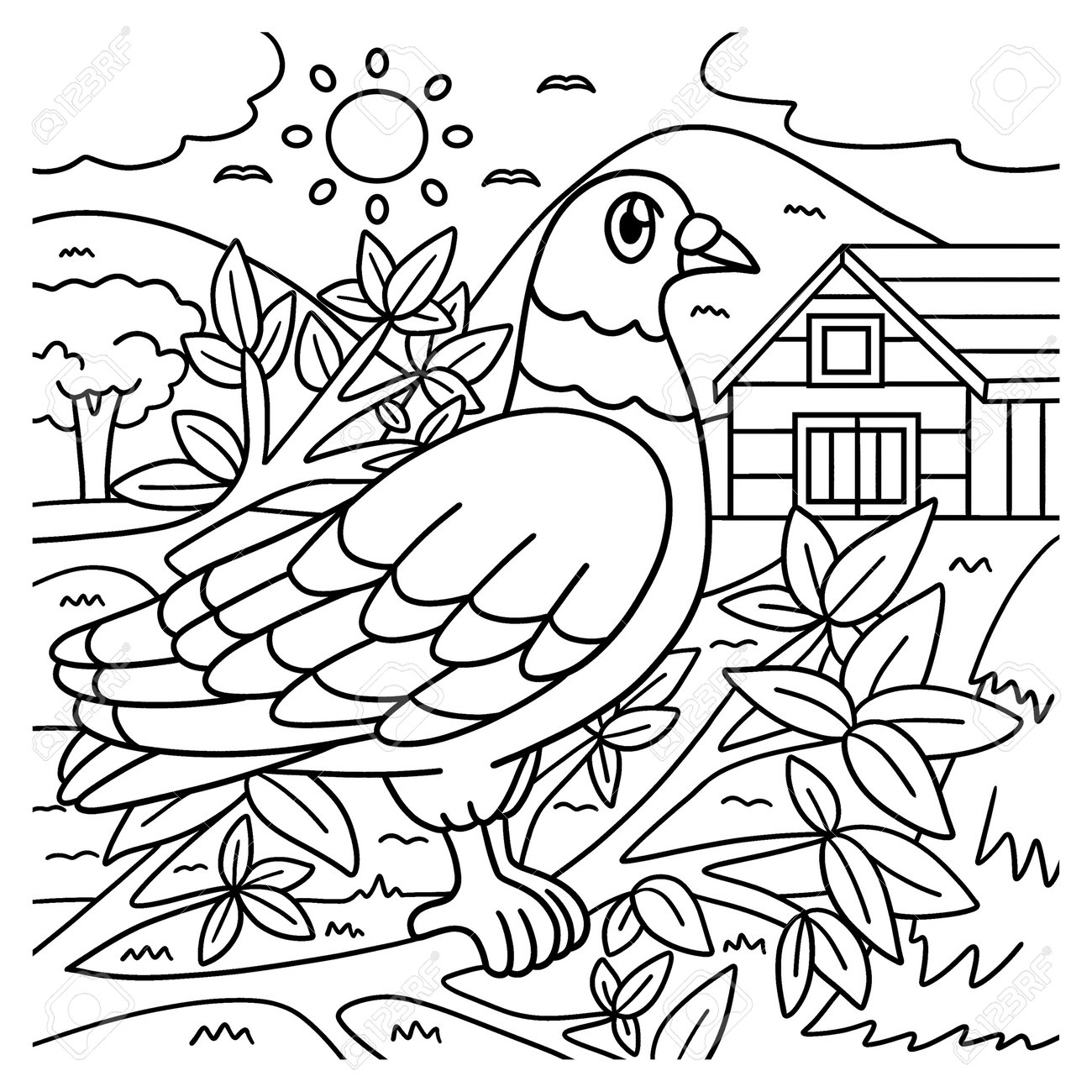 Pigeon coloring page for kids royalty free svg cliparts vectors and stock illustration image