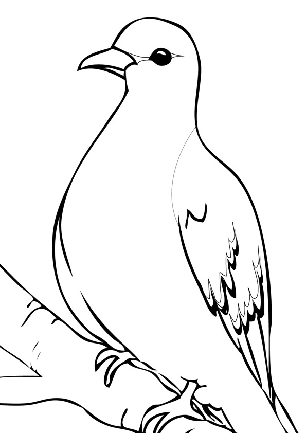 Coloring pages cute pigeon coloring pages for kids