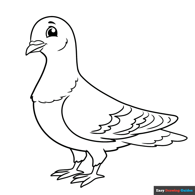 Pigeon coloring page easy drawing guides