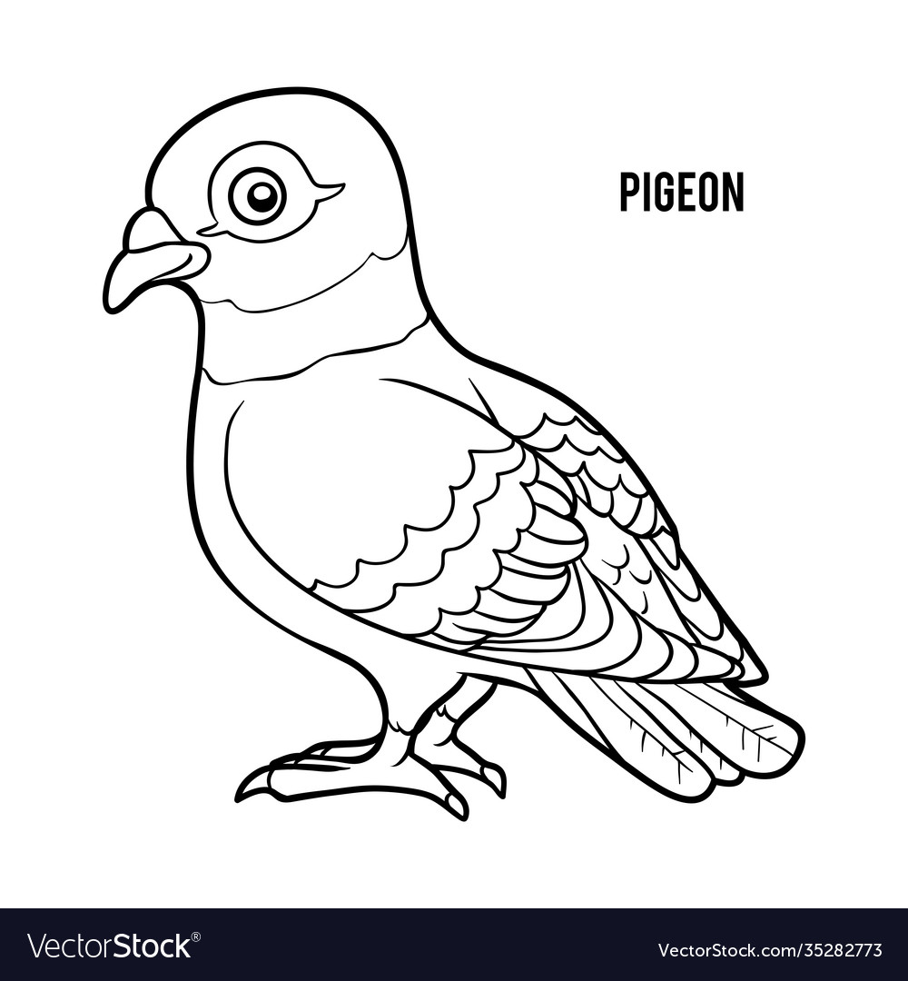 Coloring book pigeon royalty free vector image