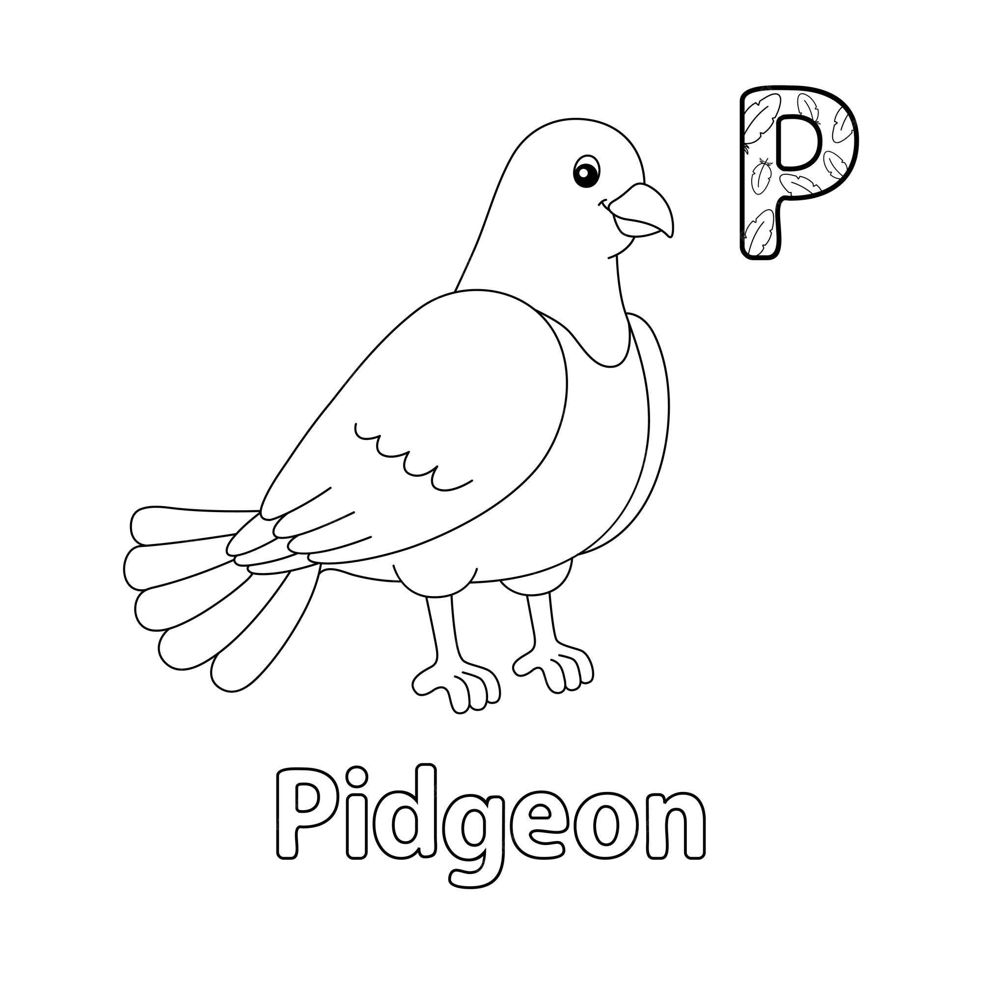 Premium vector pigeon alphabet abc coloring page p