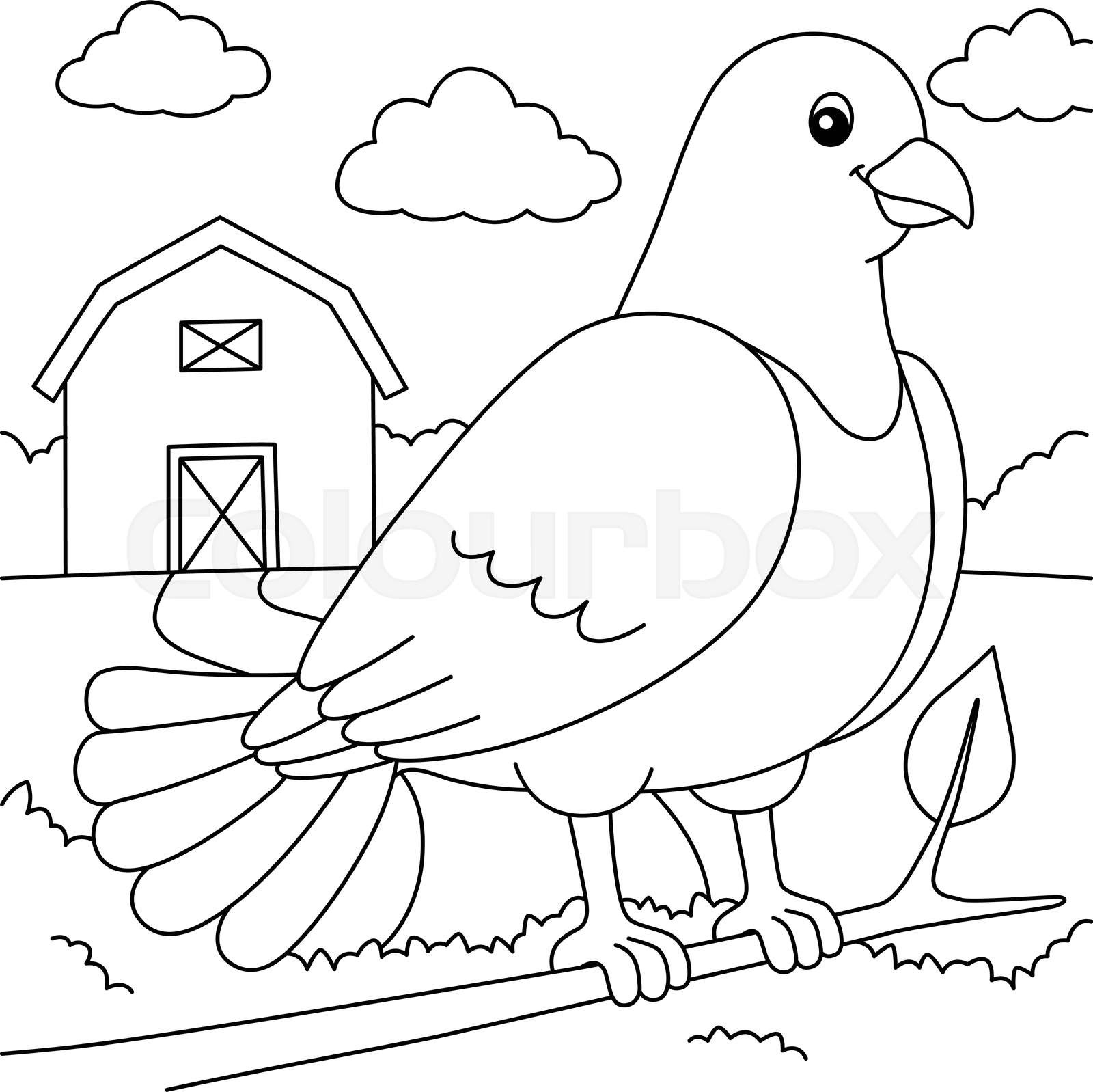 Pigeon coloring page for kids stock vector