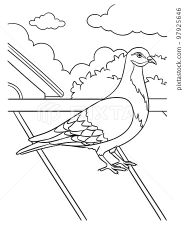 Pigeon coloring page for kids