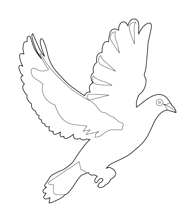 Pigeon colouring page free colouring book for children â monkey pen store