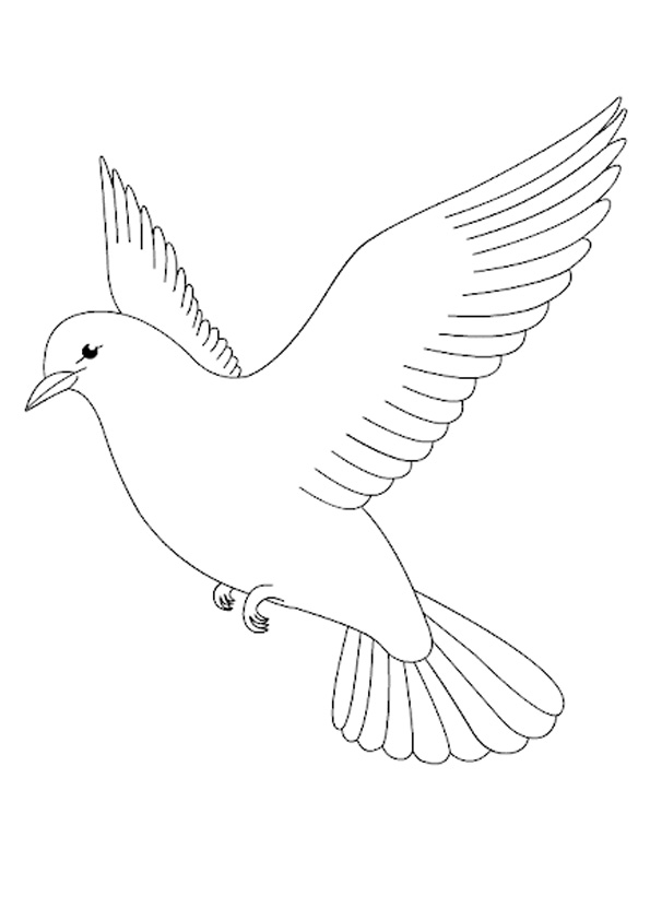 Coloring pages pigeon coloring pages for kids