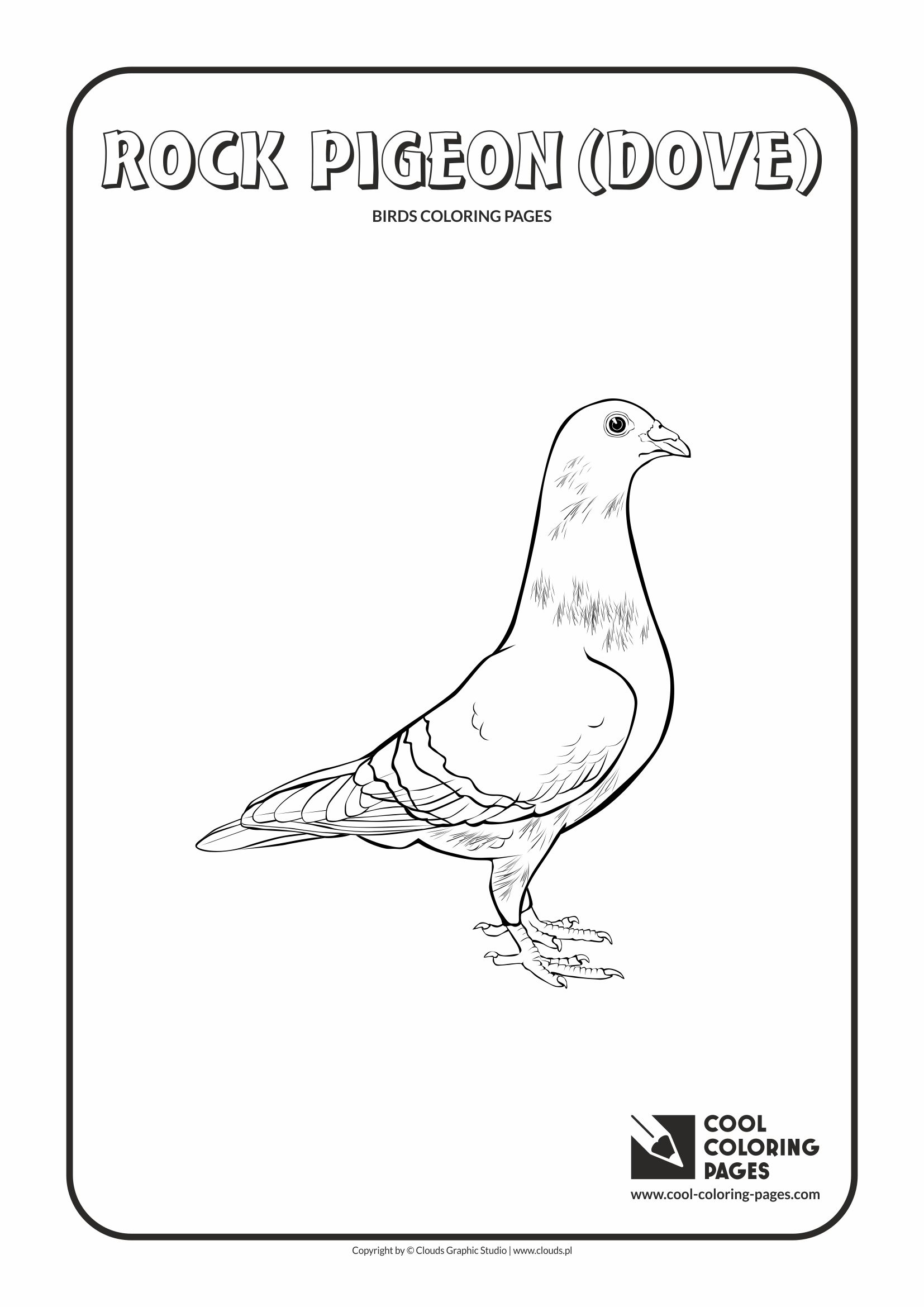 Cool coloring pages rock pigeon coloring page