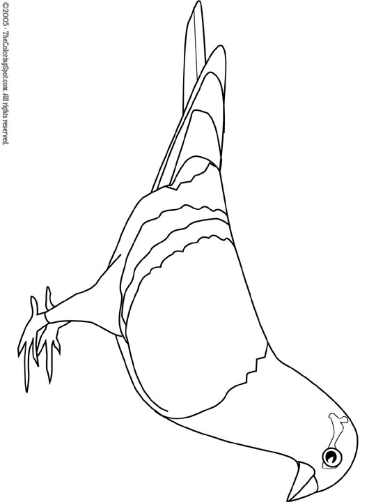 Pigeon coloring page audio stories for kids free coloring pages colouring printables